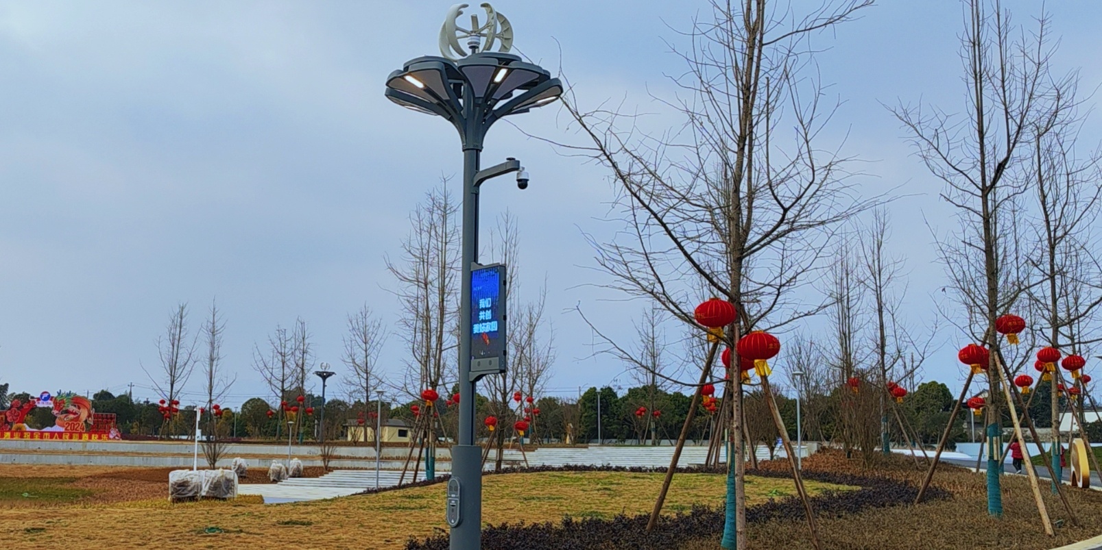 快來圍觀，種在綿竹市城北濕地公園的“智慧樹”亮燈啦